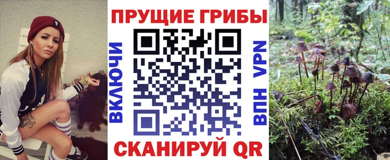 Псилоцибиновые грибы ЛСД  Карабулак 