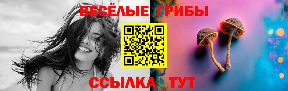 Галлюциногенные грибы Cubensis  Вход с VPN  Карабулак 